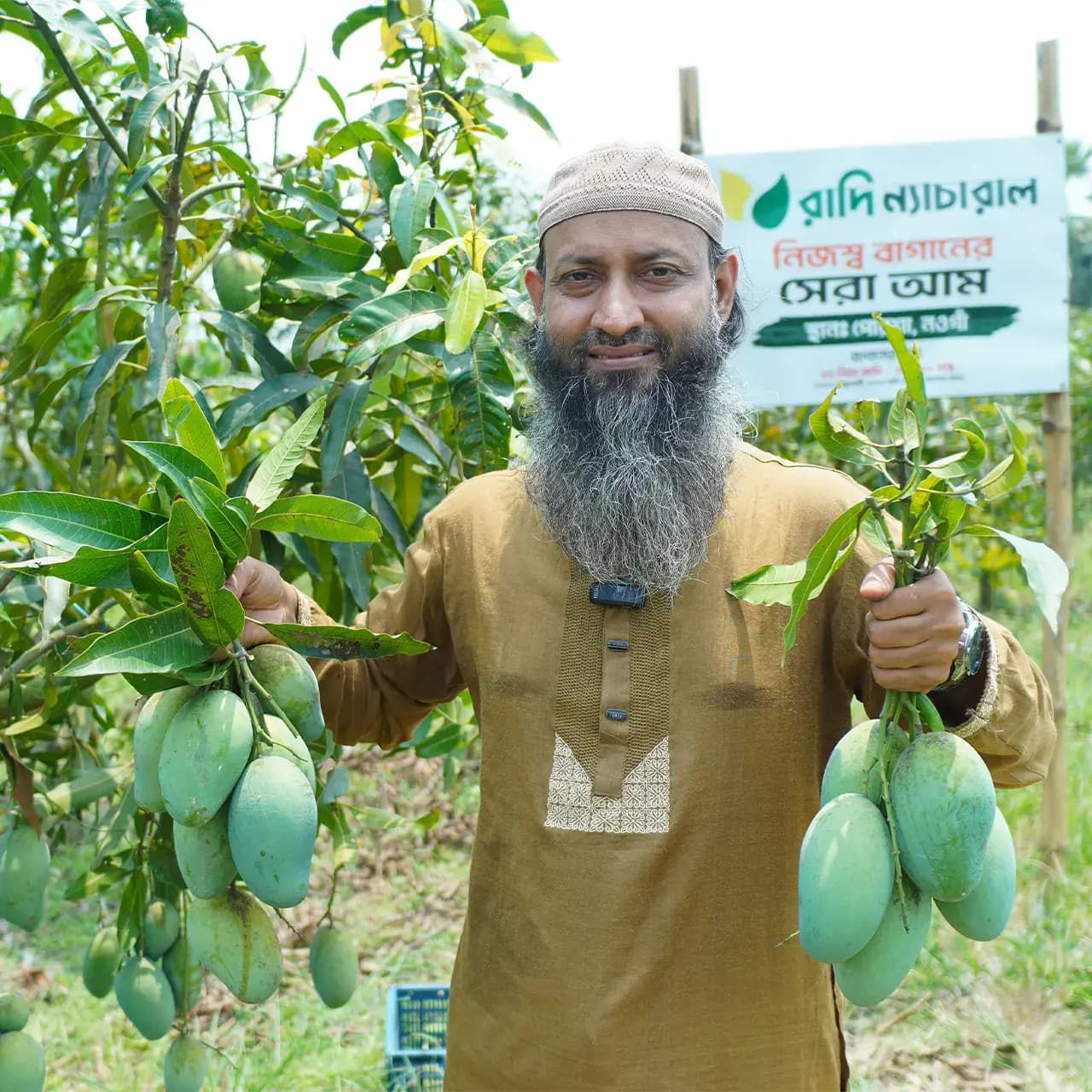 আম্রপালি আম